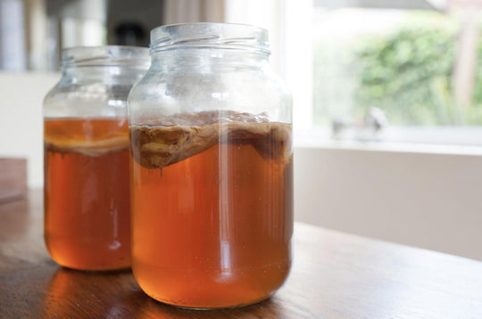 HVAD ER KOMBUCHA?
